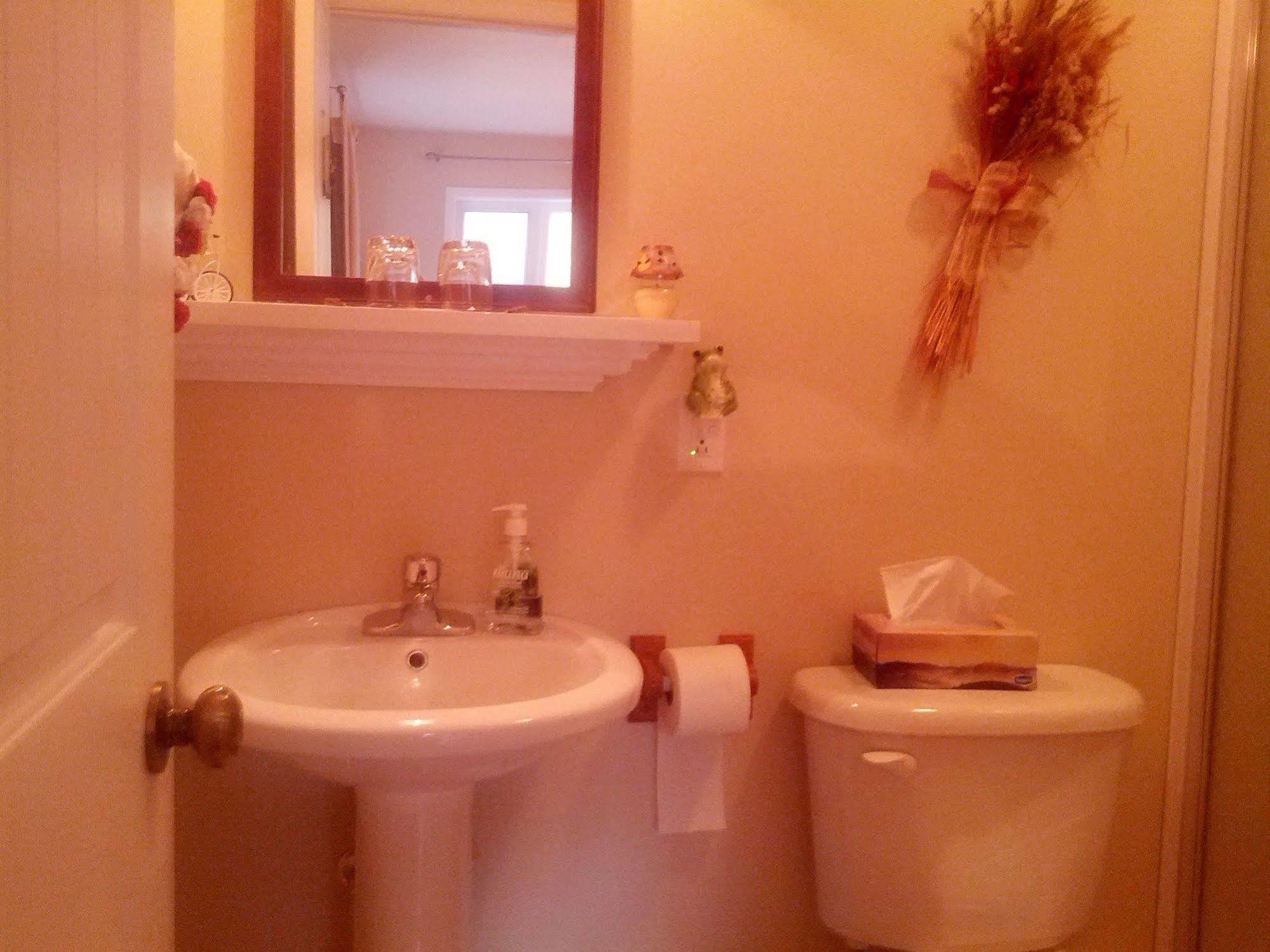 Lac-Superieur ラ プティ ドゥセール Bed & Breakfast エクステリア 写真